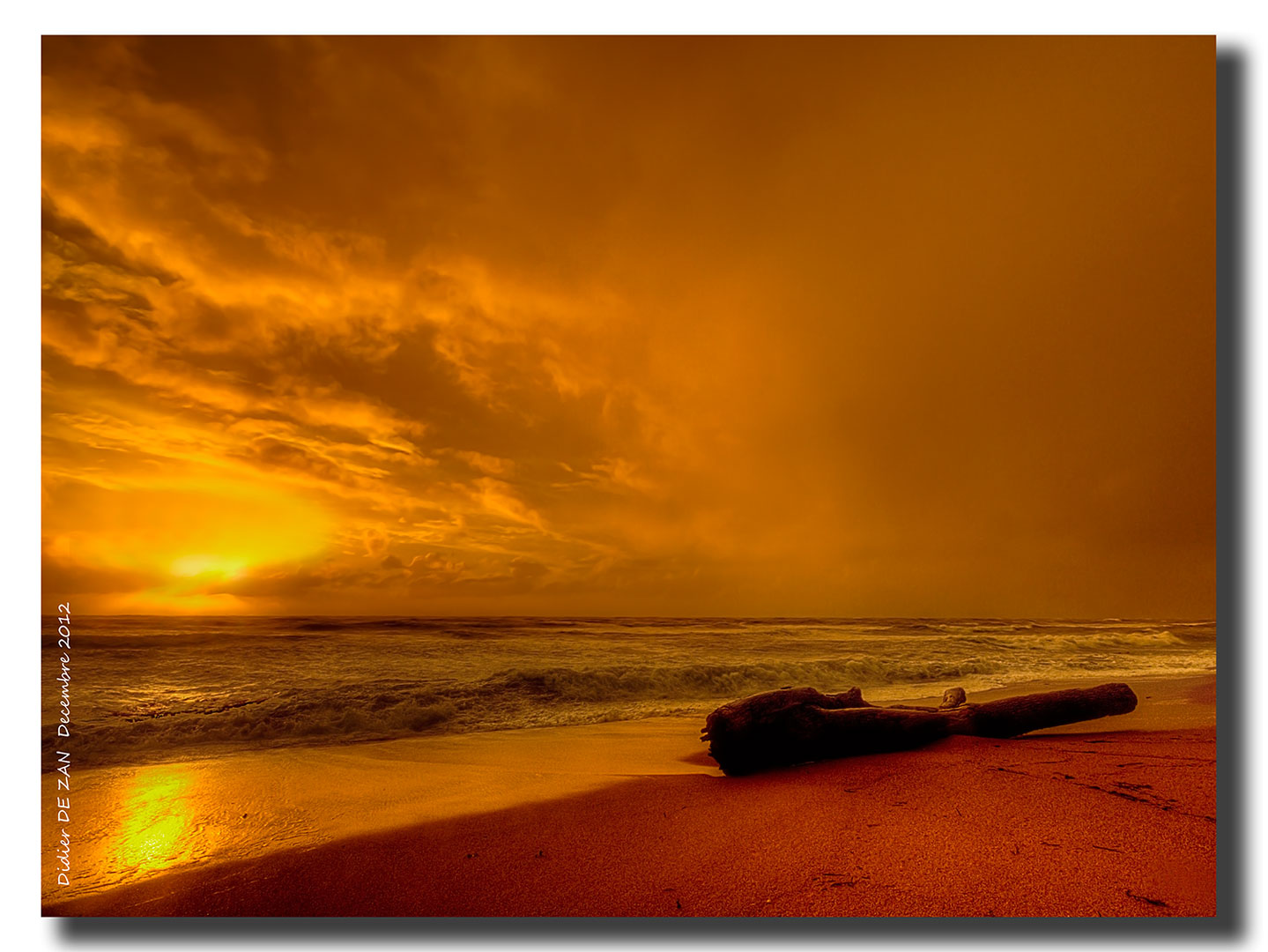 Du bois sur la Plage ....