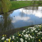 du ciel bleu dans les yeux et des fleurs dans le coeur