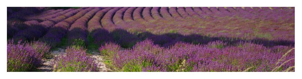 Du côté de la Provence....