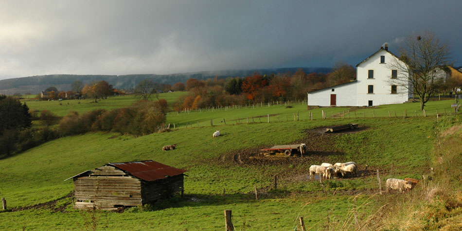 Du côté de La Roche en Ardenne