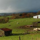 Du côté de La Roche en Ardenne