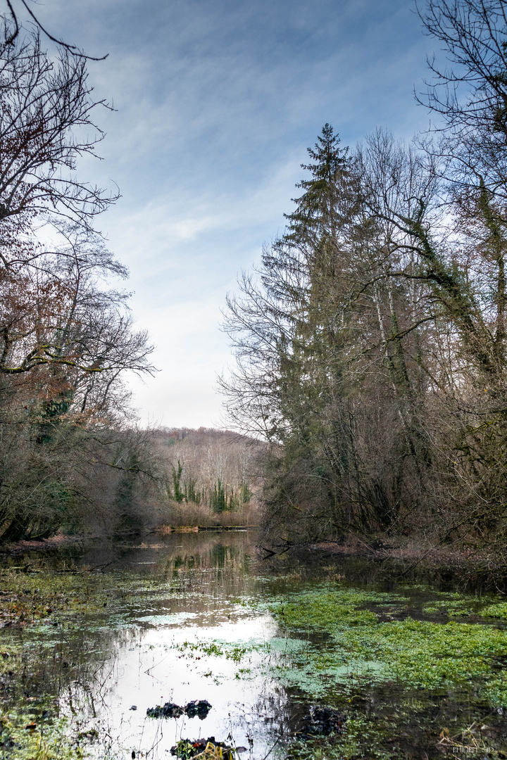 Du coté de Roches Bettaincourt