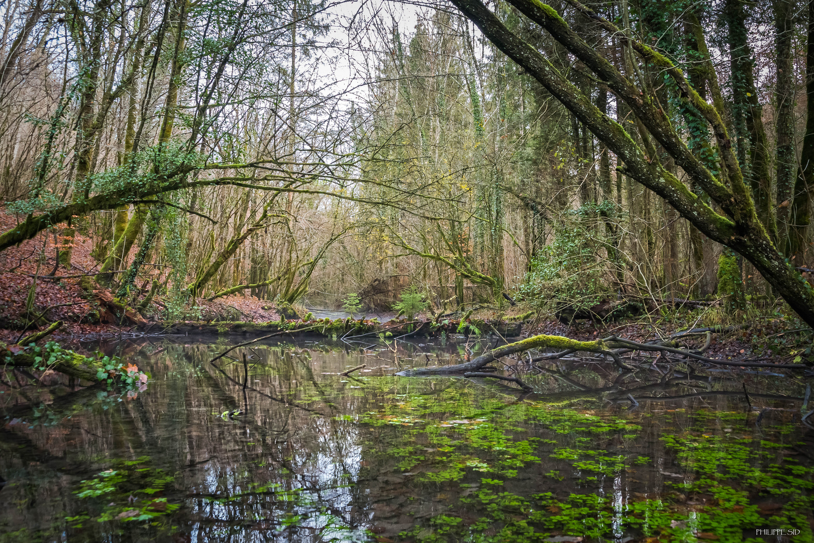 Du coté de Roches bettaincourt