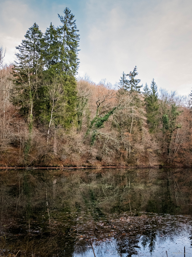 Du coté de Roches Bettaincourt