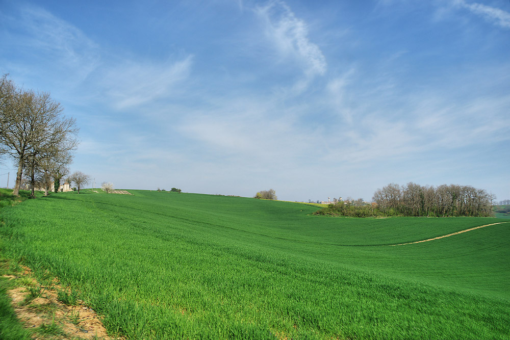 Du côté de Vianne Lot et Garonne (3)