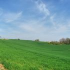 Du côté de Vianne Lot et Garonne (3)