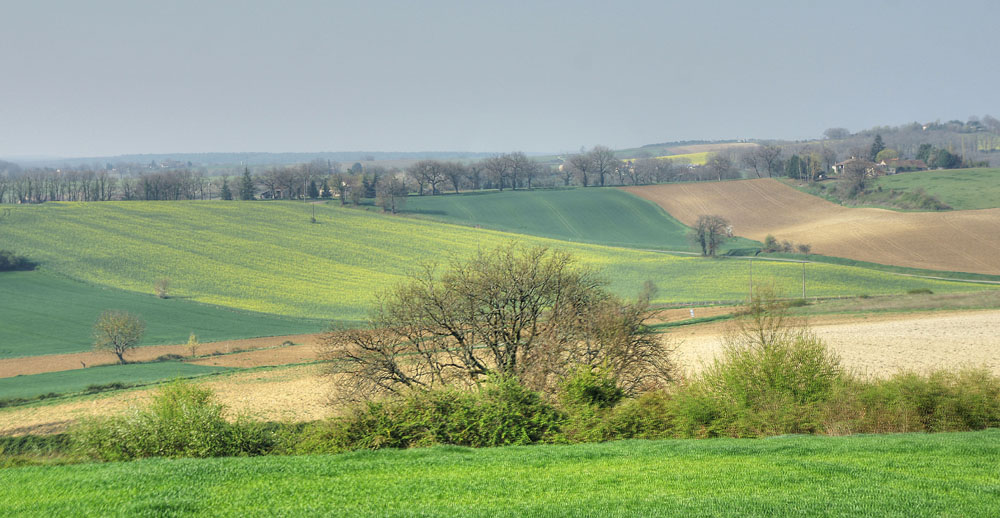 Du côté de Vianne (Lot et Garonne)