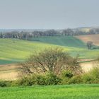 Du côté de Vianne (Lot et Garonne)