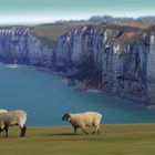 Du côté d'Etretat