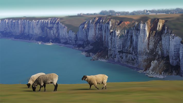 Du côté d'Etretat