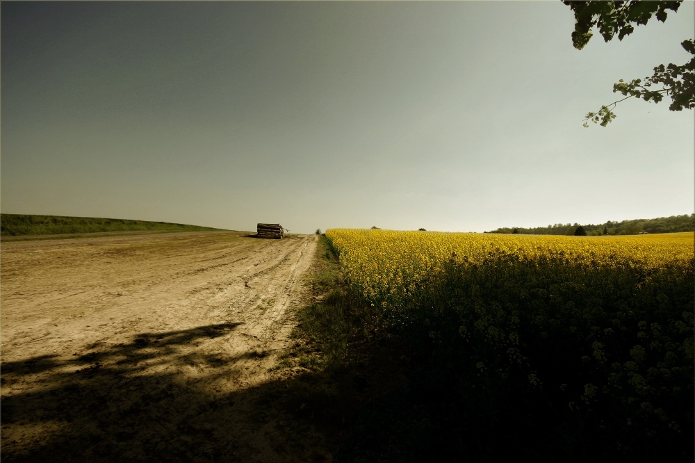 du côté du chemin des dames 3