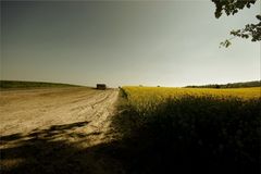 du côté du chemin des dames 3