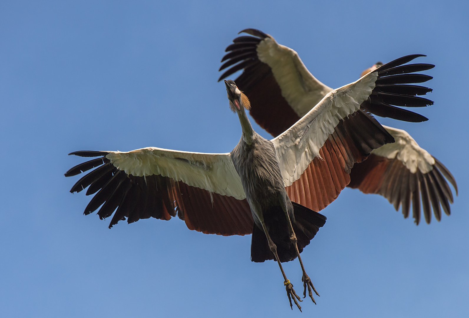 Du fliegst in die falsche Richtung