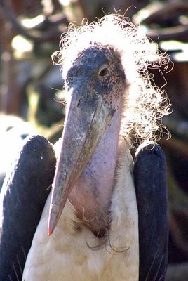 Anna Disselhoff Fotos & Bilder Fotografin aus Wuppertal