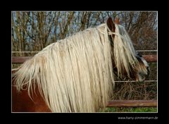 Du hast die Haare schön