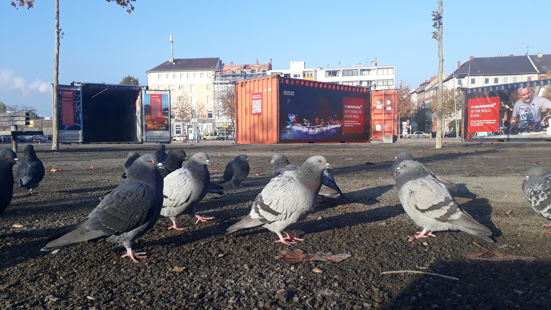 Du hast doch einen Vogel