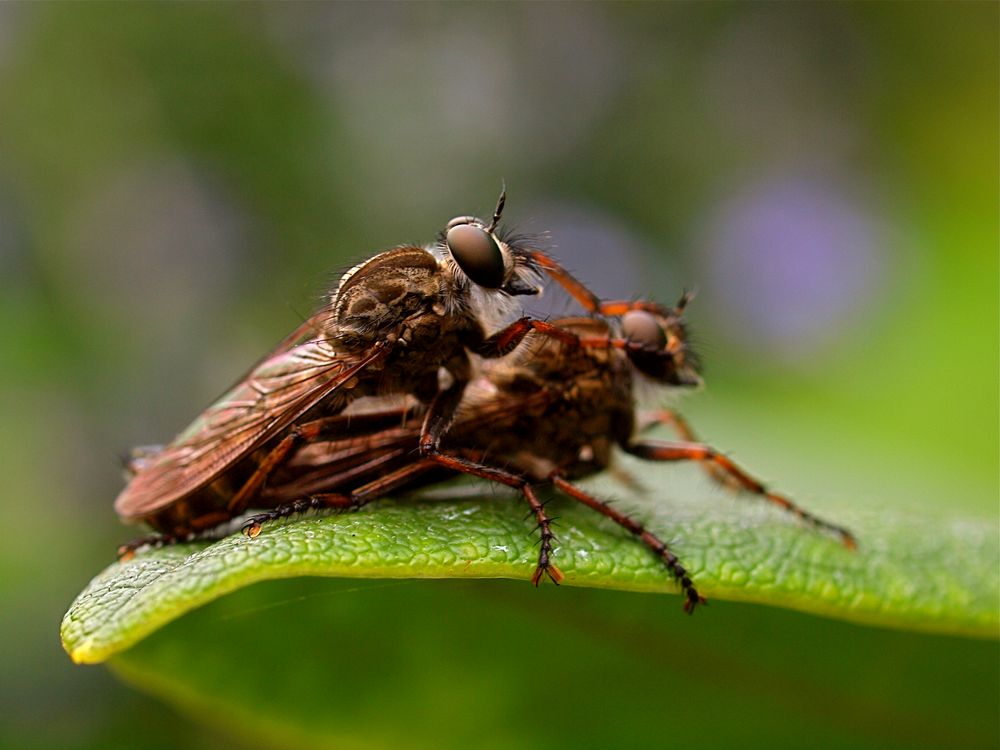 Du hast mir den Kopf verdreht ;-) by Thomas Denzin 