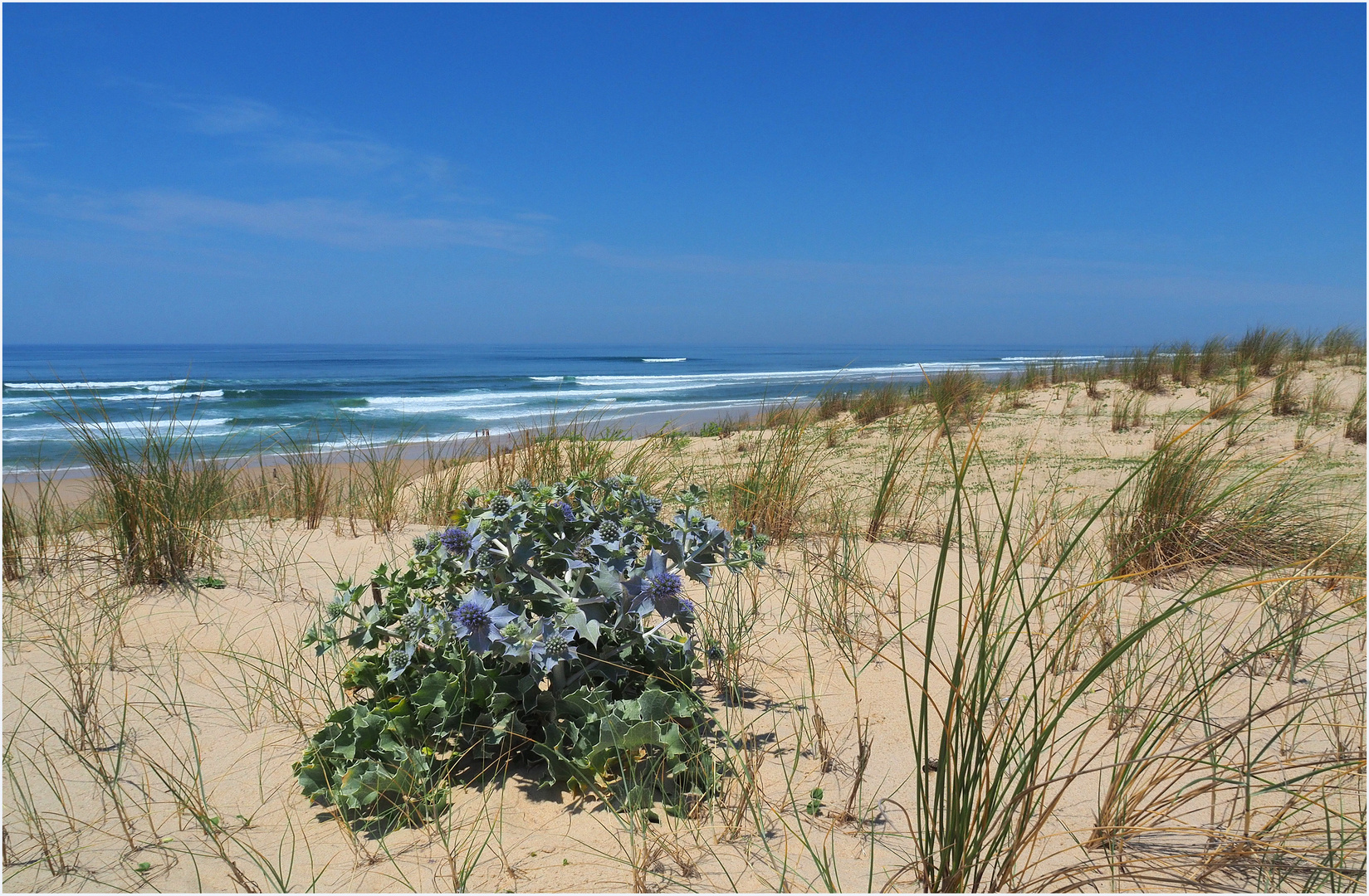 Du haut de la dune