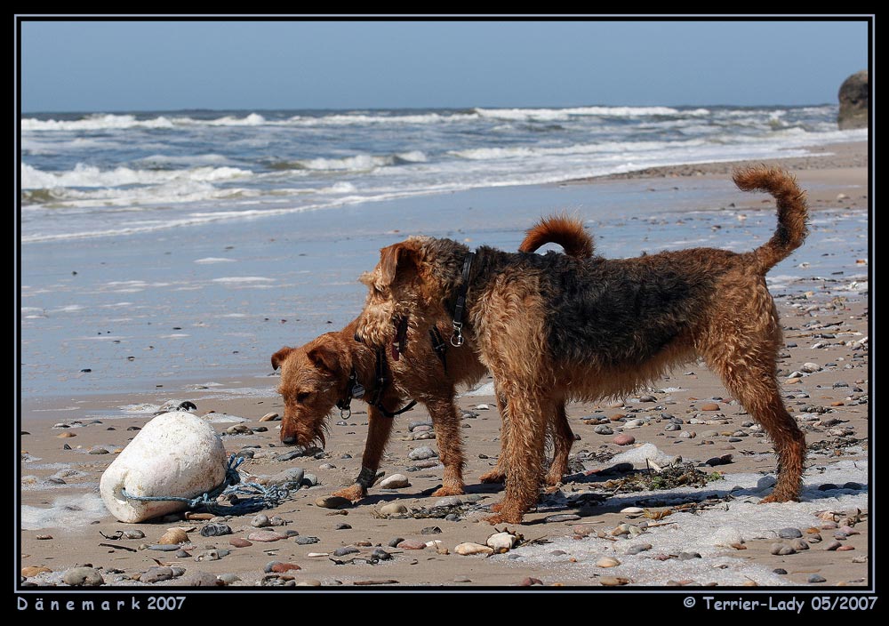 Du Ina ...was ist denn das ?? ... Mensch Funny ...Strandgut natürlich du Dumme ...