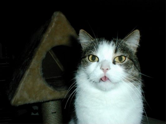 Du kannst mich mal !!!