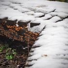 Du kannst nicht entfliehen, es hat keinen Zweck; im Winter