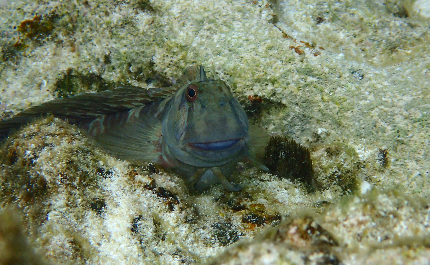 Du kommst jetzt SOFORT aus dem Wasser, Ulrich, du hast schon ganz blaue Lippen!!!