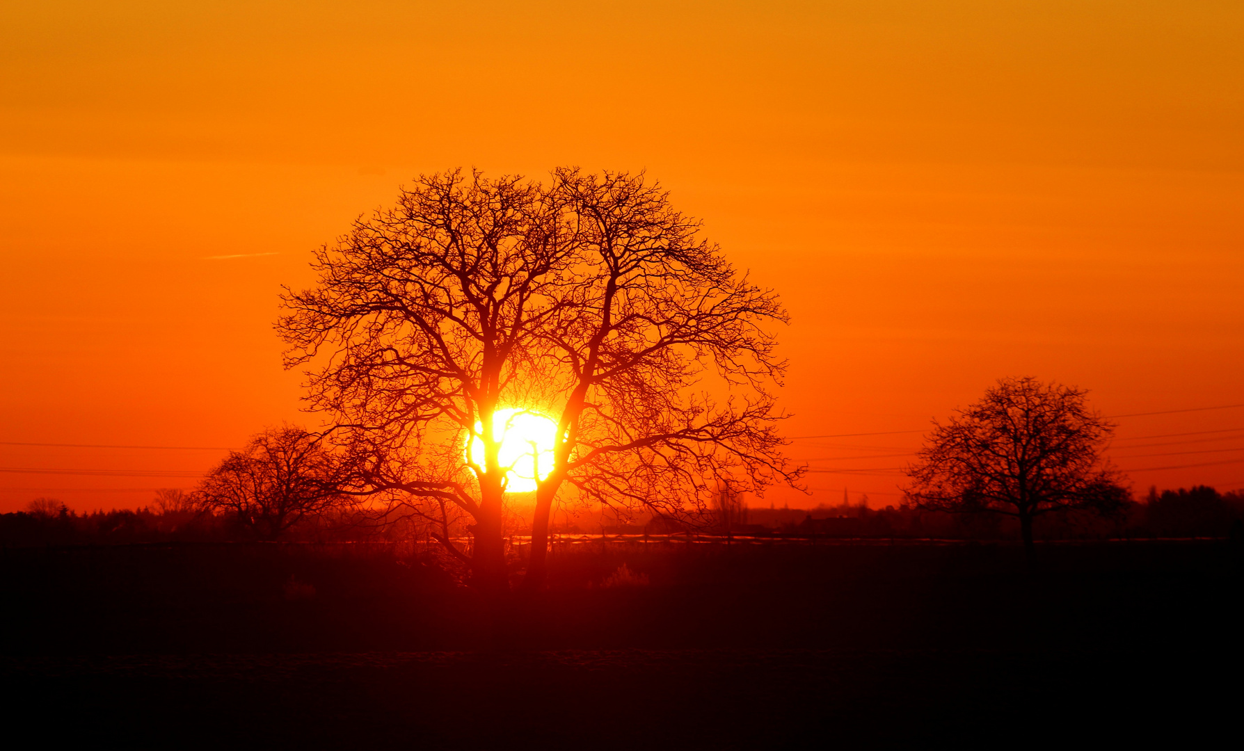 Du Liebling, ich habe die Sonne gefangen