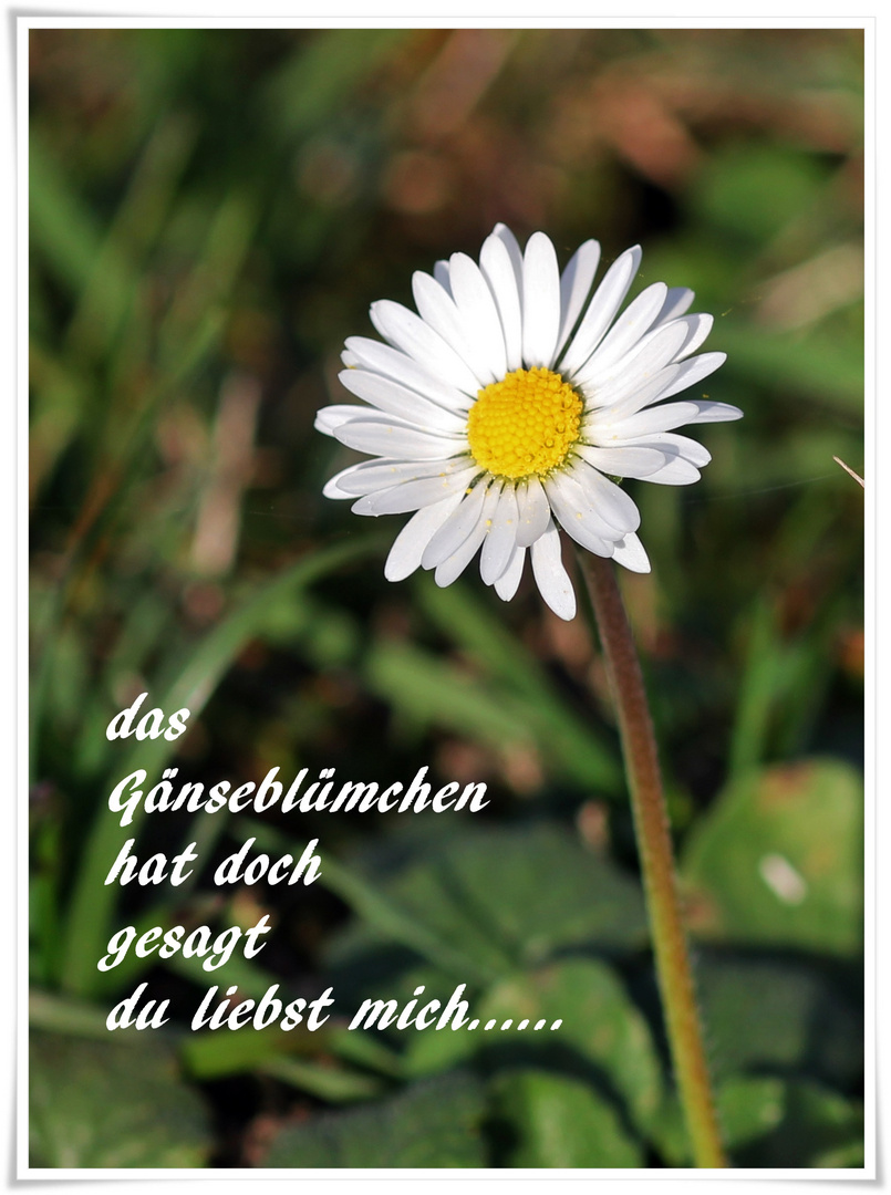 du liebst mich.....