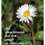 du liebst mich.....