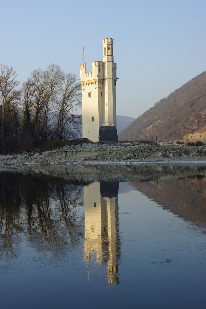 Du Mäuseturm in Bingen ...