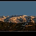 •Du Mont Blanc au Taillefer•