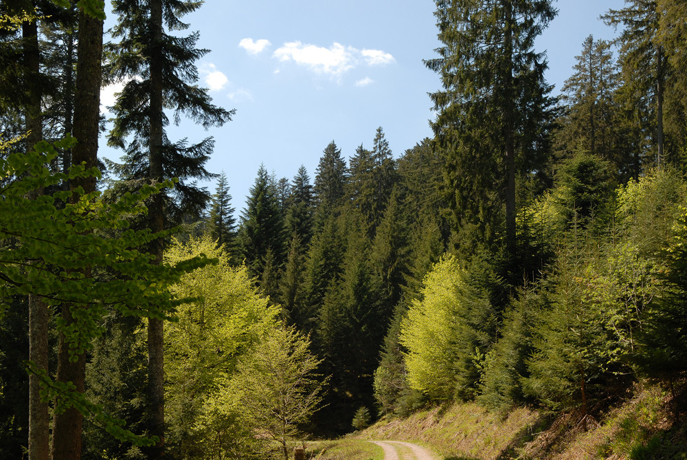 du mußt wandern ...