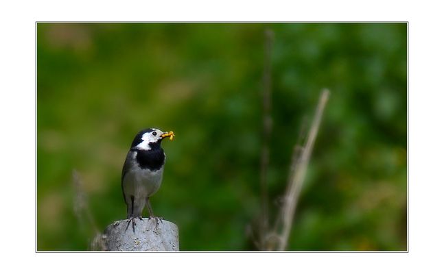 Du nimmst den Mund ja ganz schön voll