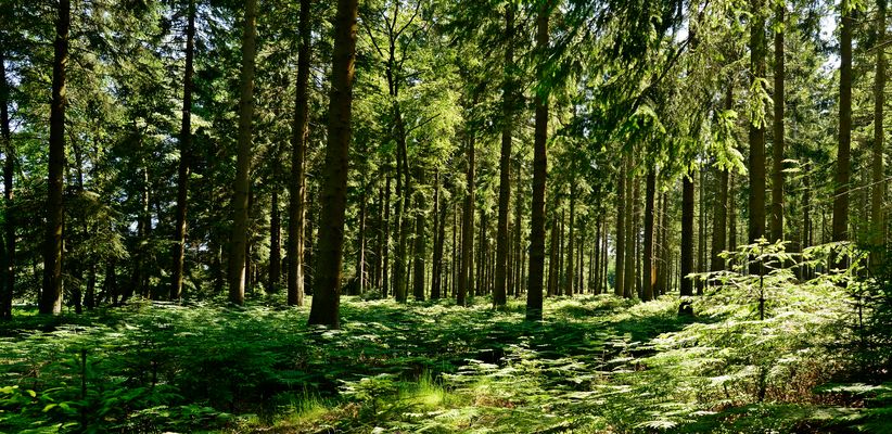 Du plaisir à chaque saison ...