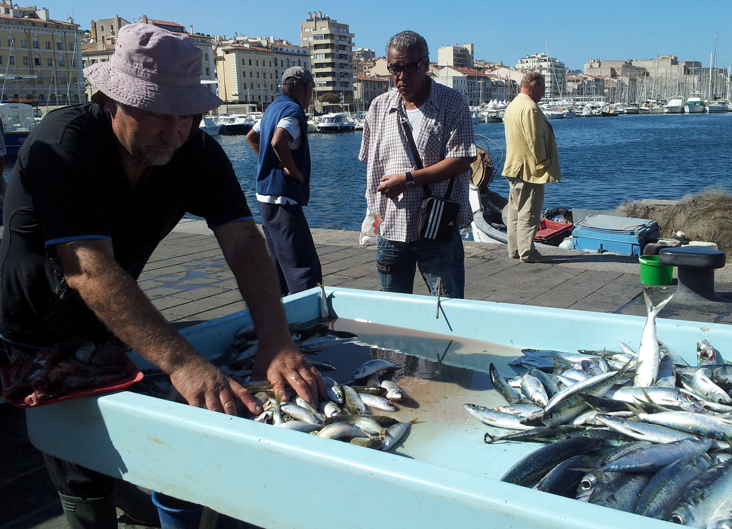 du poisson tout frais