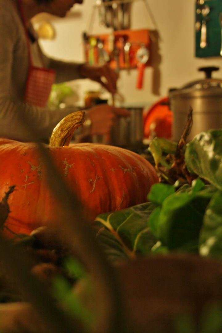 Du potager à la cocotte! 2ème