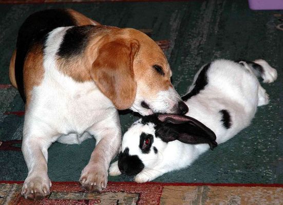 "du riechst sooo lecker "