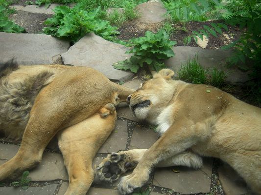 >>>((( du riiiiiiiiiichst so gut