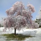 * du rose et du vert *