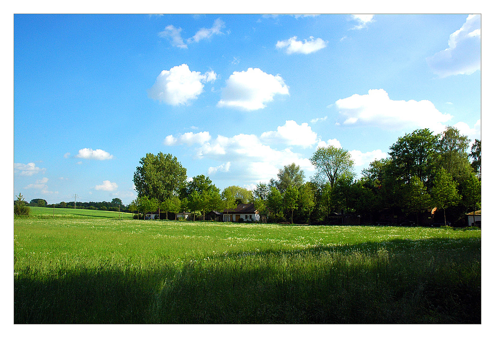 „ Du segnest herrlich das frische Feld . . . "