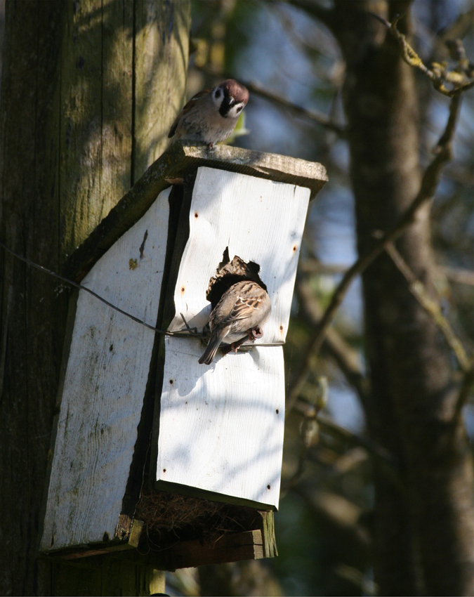 "Du, Spatz, ich glaube...