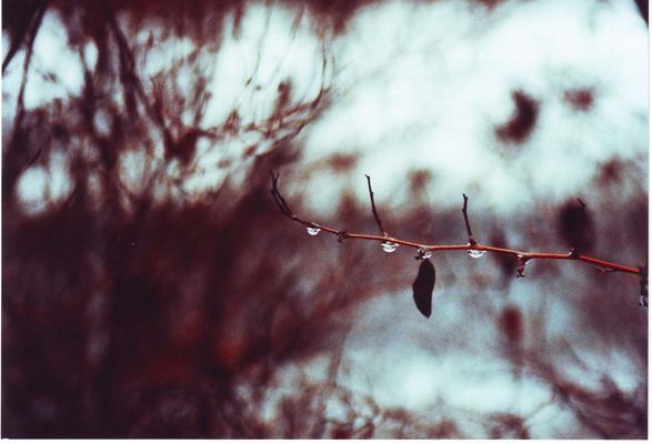 du tust mir nicht gut