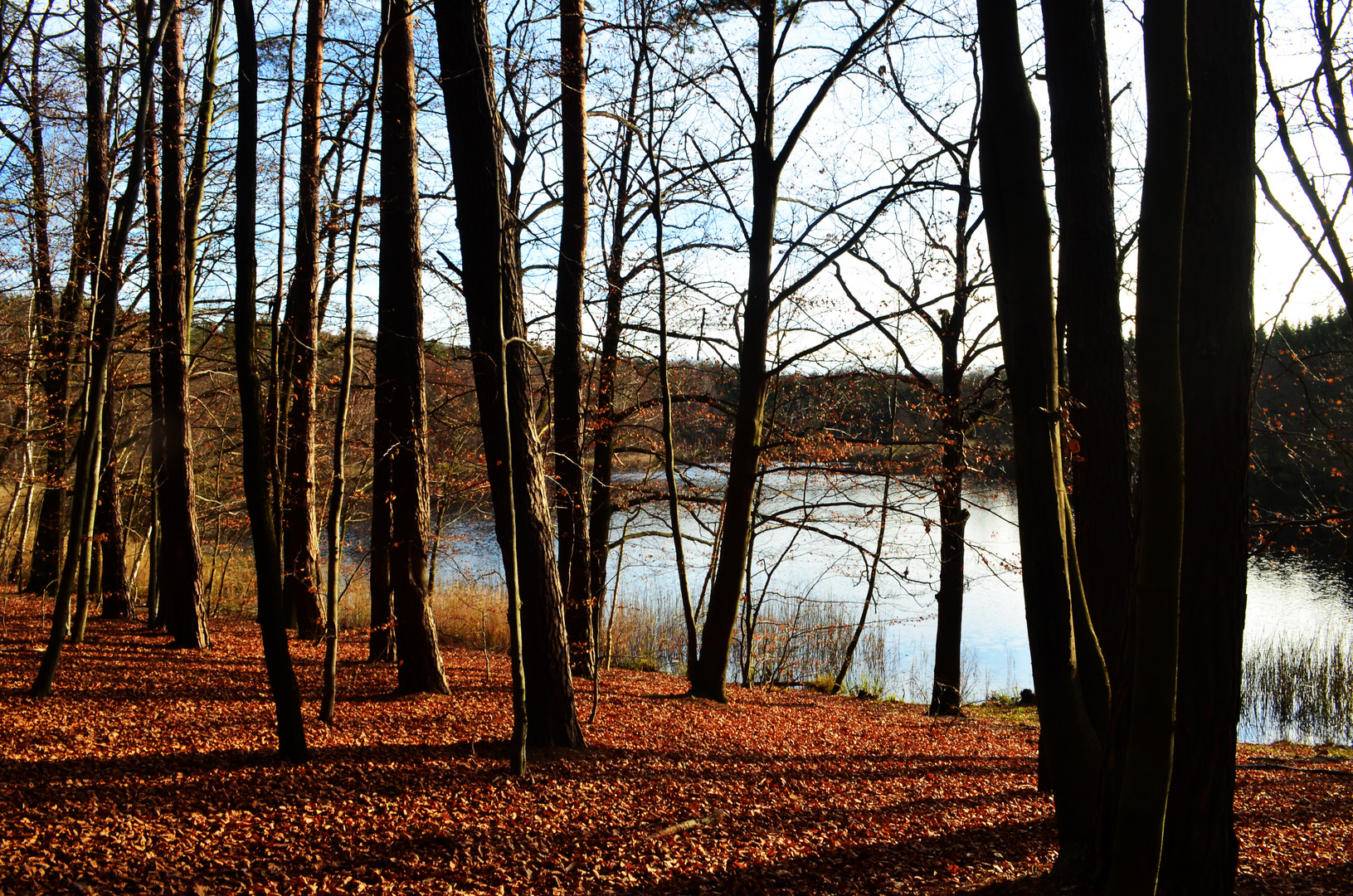 Du unvergesslicher Herbst