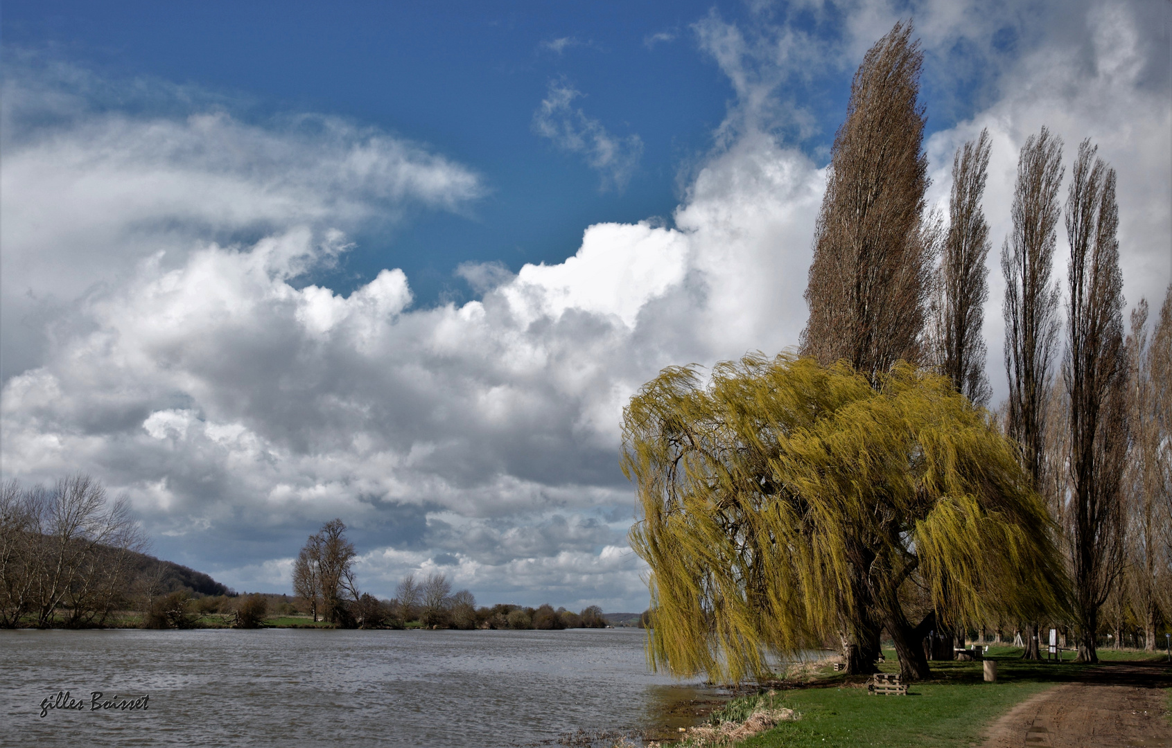 Du vent dans les branches