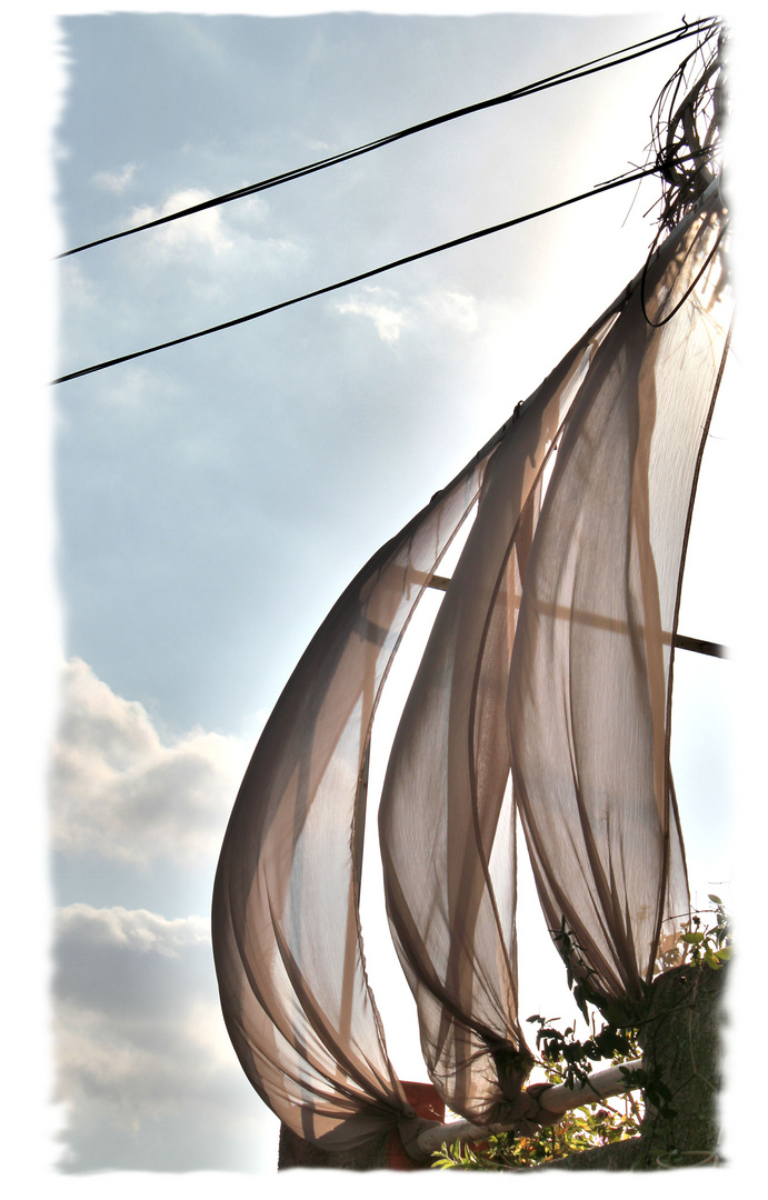 Du vent dans les voiles... photo et image | abstrait, marseille, sujets