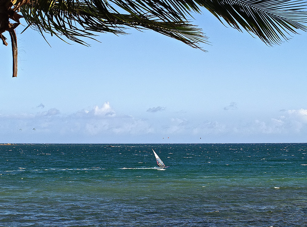 Du vent dans les voiles - Rivage de Nouméa -- Viel Wind in den Segeln - Meeresufer in Nouméa
