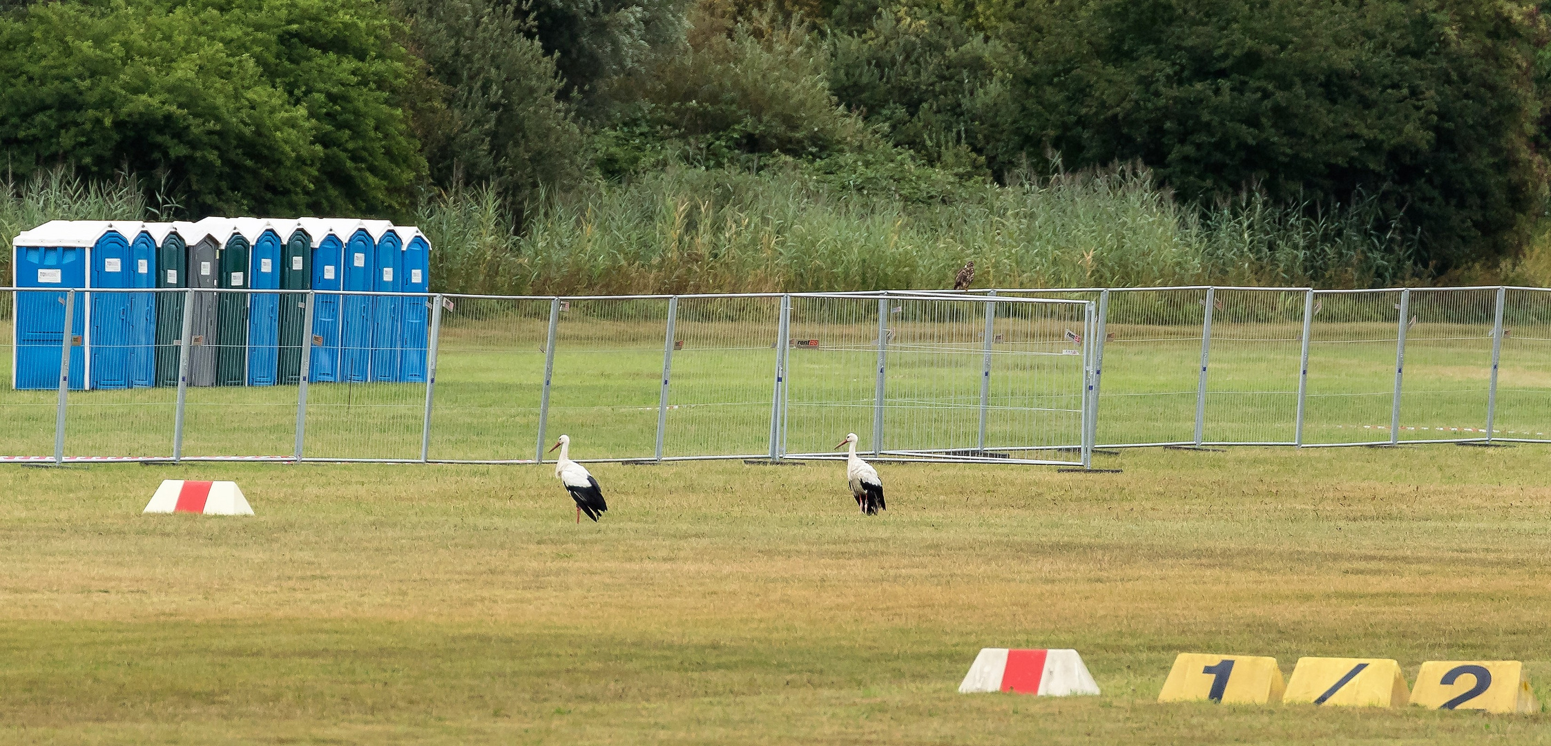 "Du, vor dem Abflug müsste ich noch einmal dringed auf die Toilette..."