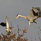 Du warst lange weg