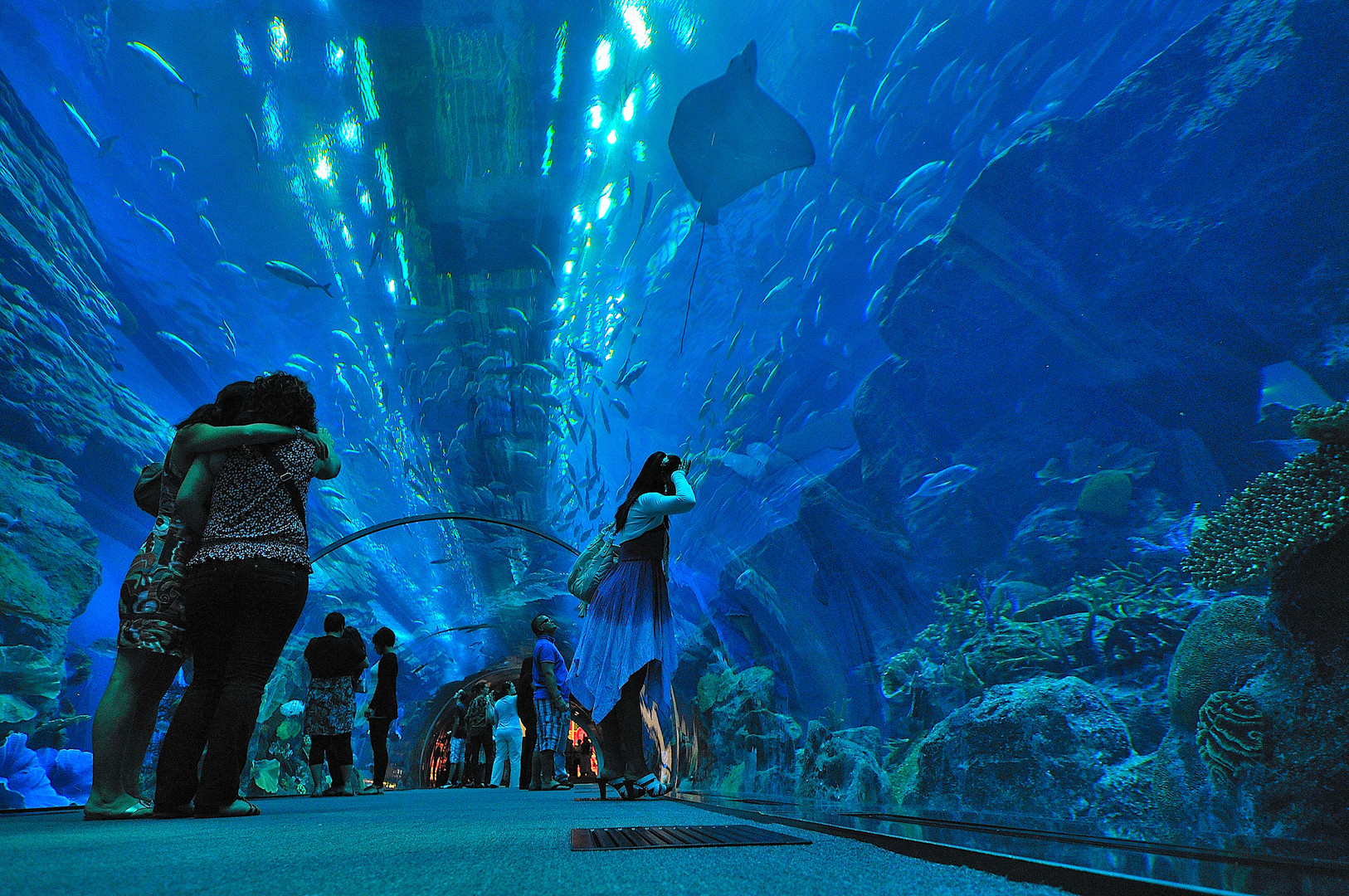 Dubai Aquarium Panorama