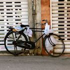 Dubai Bike